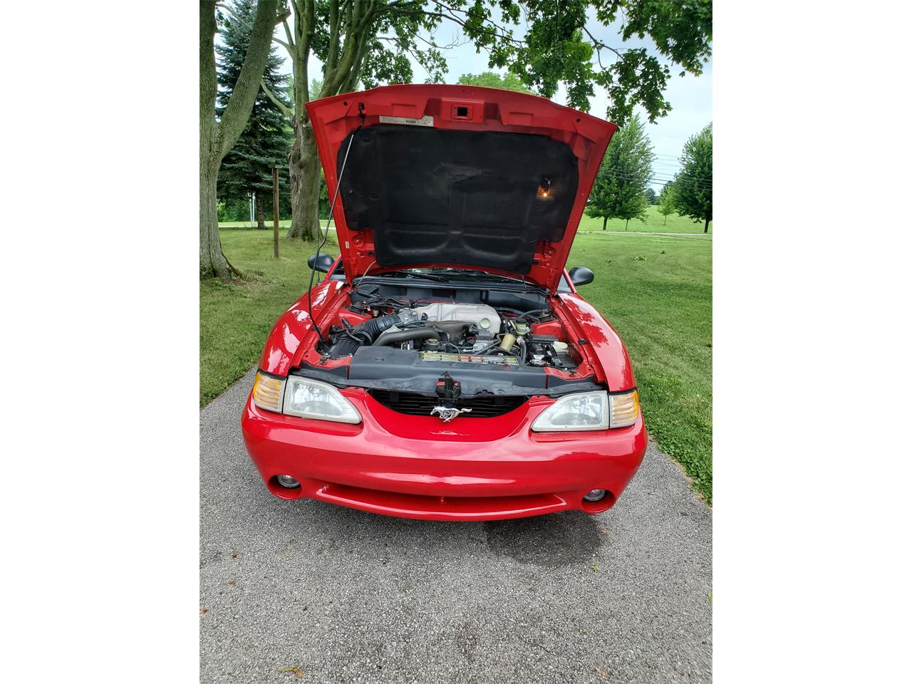 Ford-Mustang-cobra-1994-Rio-Red-Tan-leather-8