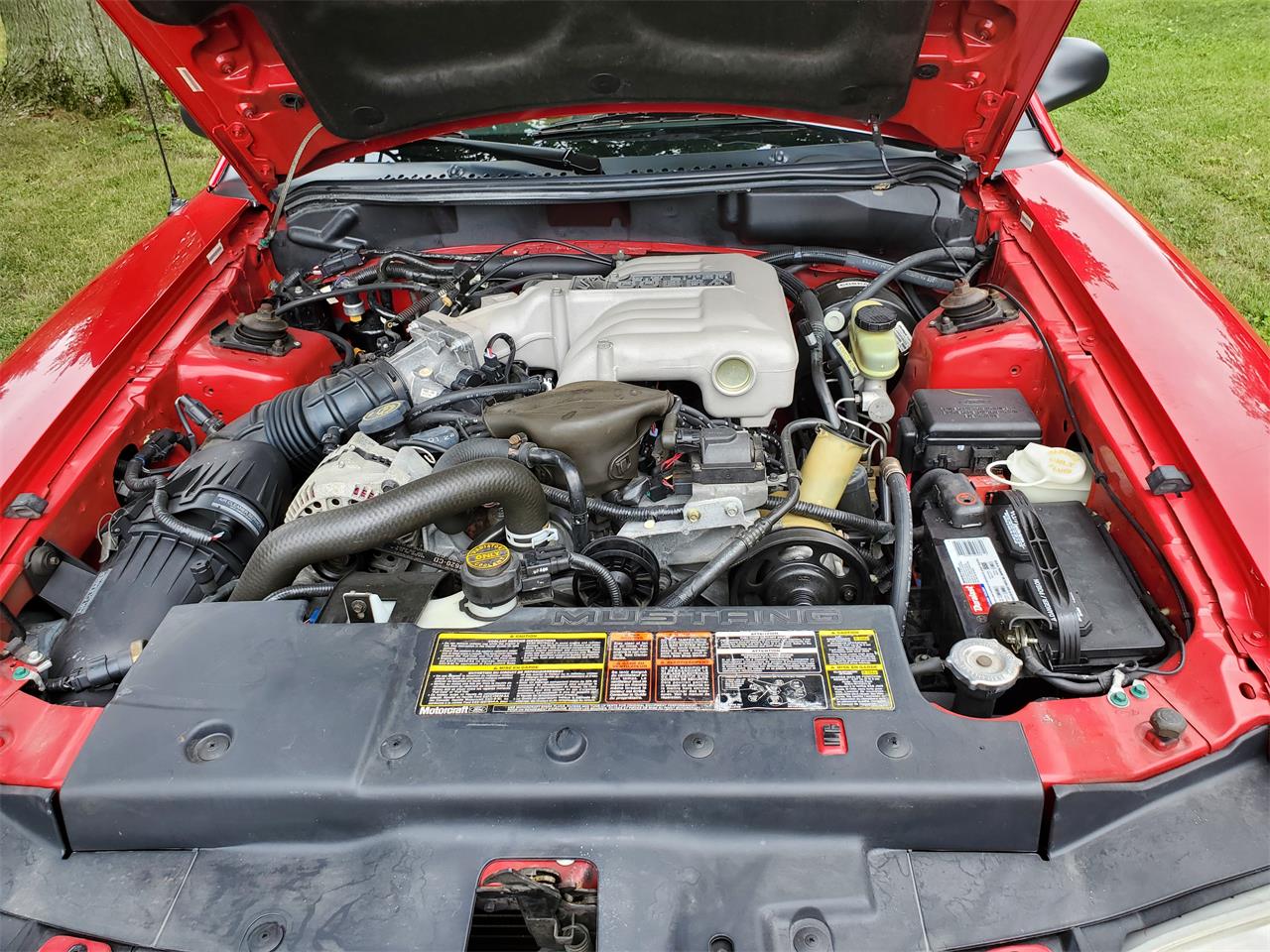 Ford-Mustang-cobra-1994-Rio-Red-Tan-leather-9