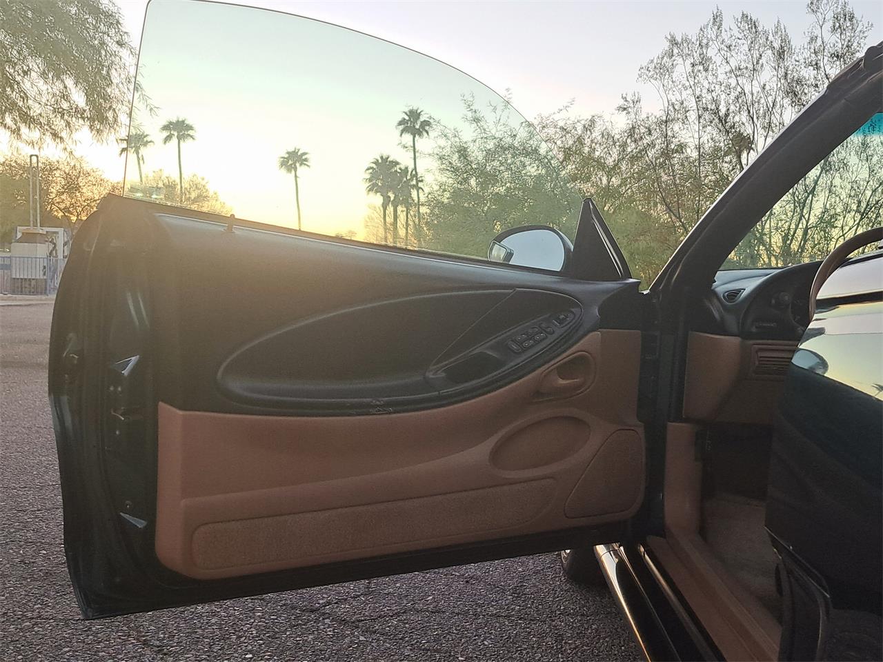 Ford-Mustang-gt-1994-Deep-Forest-Green-Saddle-Leather-13