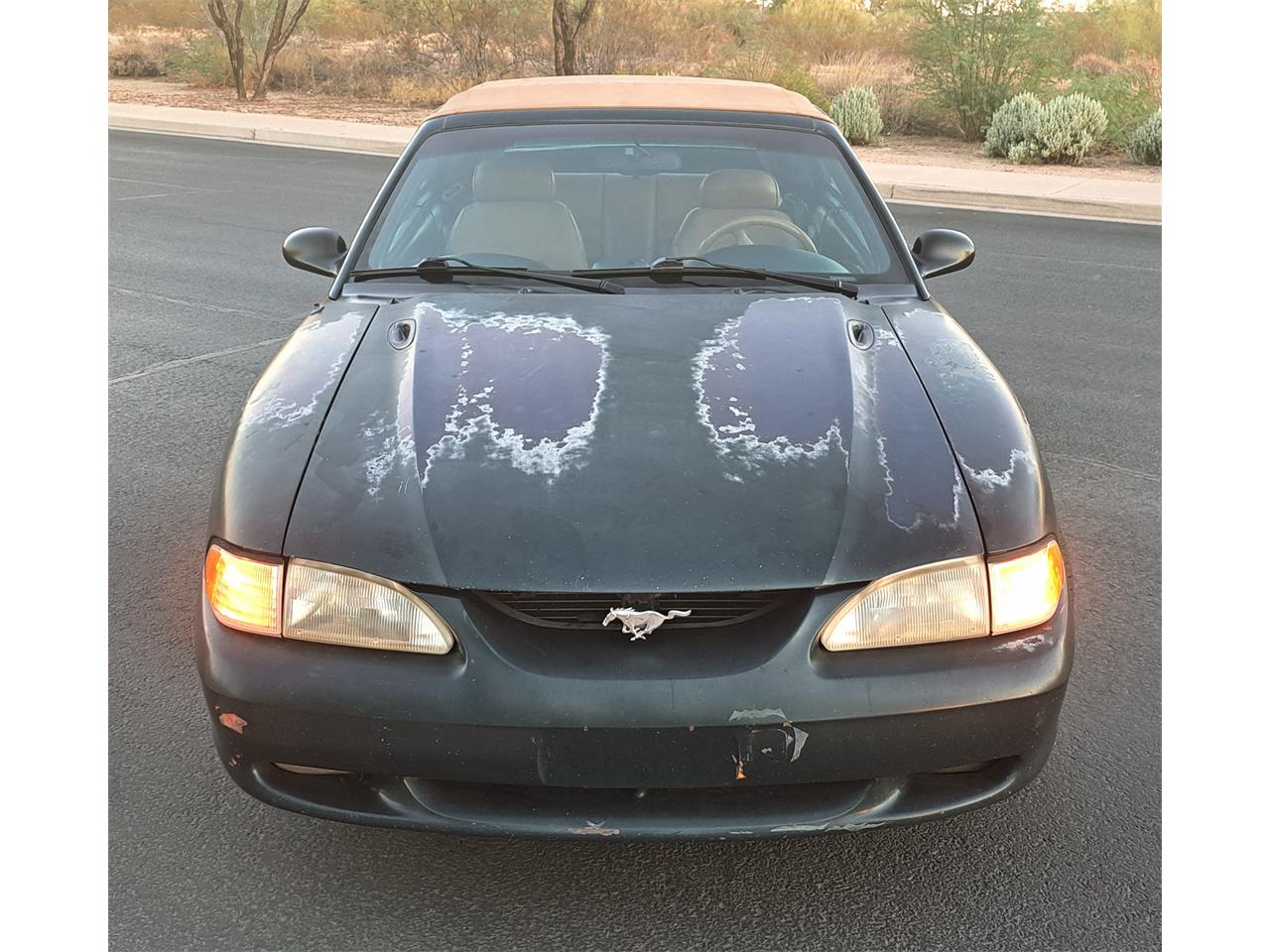 Ford-Mustang-gt-1994-Deep-Forest-Green-Saddle-Leather-3