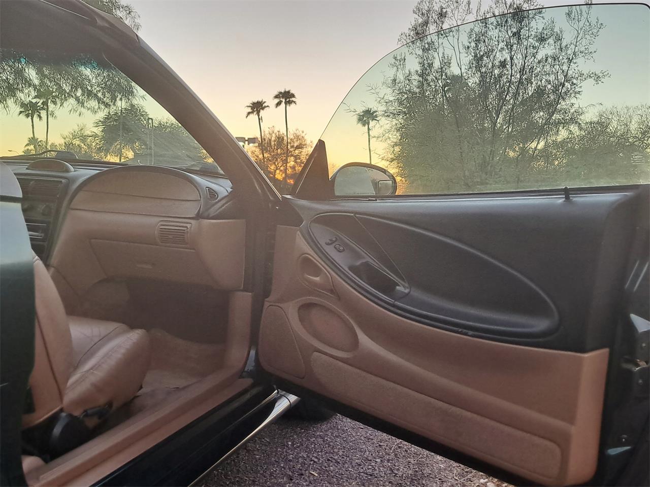 Ford-Mustang-gt-1994-Deep-Forest-Green-Saddle-Leather-5