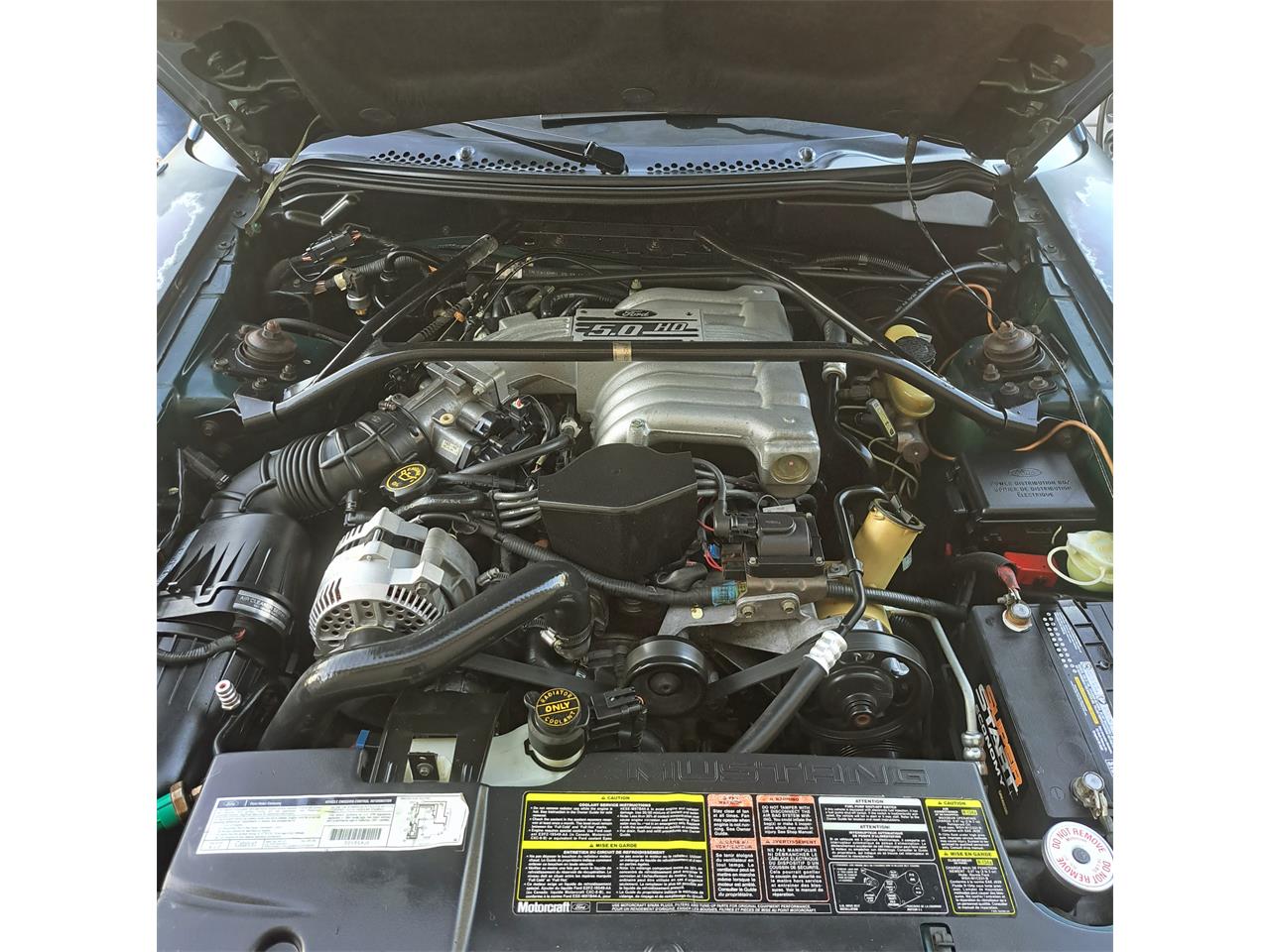 Ford-Mustang-gt-1994-Deep-Forest-Green-Saddle-Leather-7