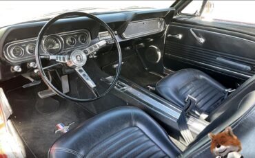 Ford-Mustang-v8-289-cu-1966-Coupe-14