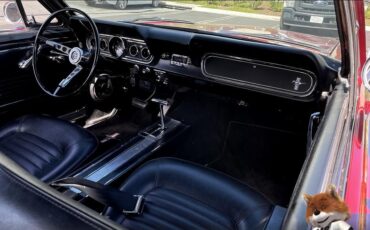 Ford-Mustang-v8-289-cu-1966-Coupe-17