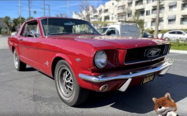 Ford-Mustang-v8-289-cu-1966-Coupe-5