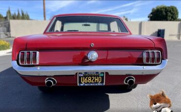 Ford-Mustang-v8-289-cu-1966-Coupe-6