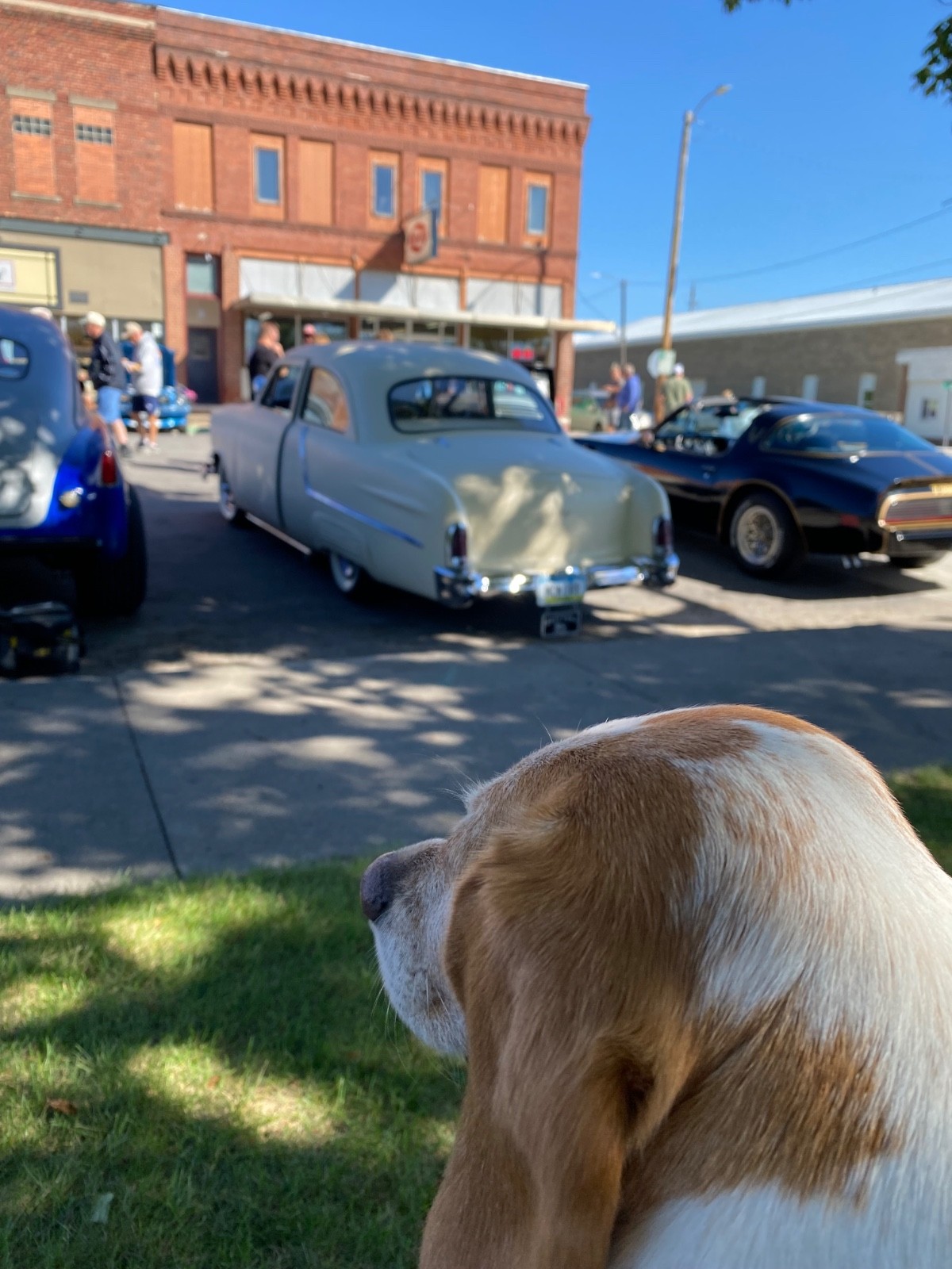 Ford-Other-1949-Sedan-17