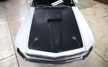 Ford-Other-1969-Pastel-Gray-Paint-Black-13