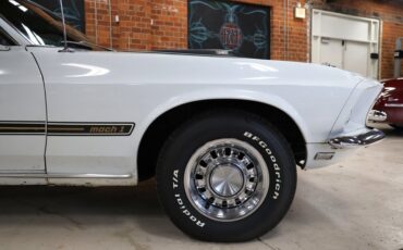 Ford-Other-1969-Pastel-Gray-Paint-Black-18