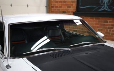 Ford-Other-1969-Pastel-Gray-Paint-Black-24