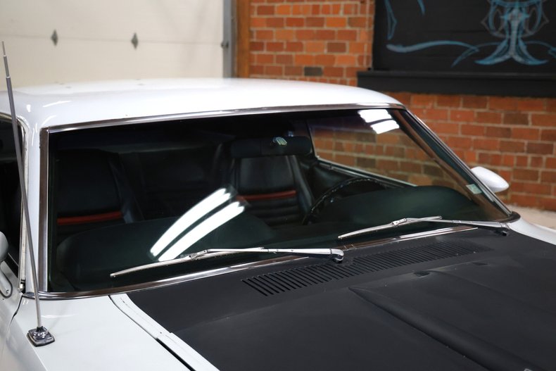 Ford-Other-1969-Pastel-Gray-Paint-Black-24