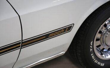 Ford-Other-1969-Pastel-Gray-Paint-Black-26