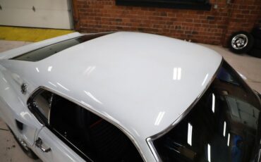 Ford-Other-1969-Pastel-Gray-Paint-Black-28
