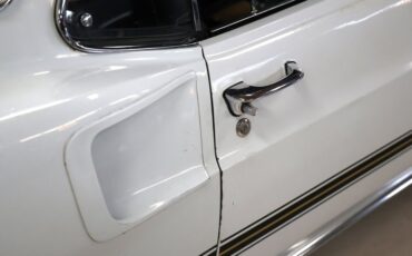 Ford-Other-1969-Pastel-Gray-Paint-Black-31