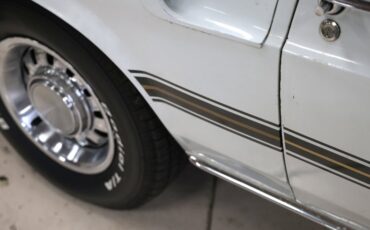 Ford-Other-1969-Pastel-Gray-Paint-Black-33