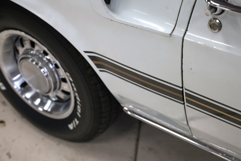 Ford-Other-1969-Pastel-Gray-Paint-Black-33