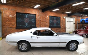 Ford-Other-1969-Pastel-Gray-Paint-Black-35
