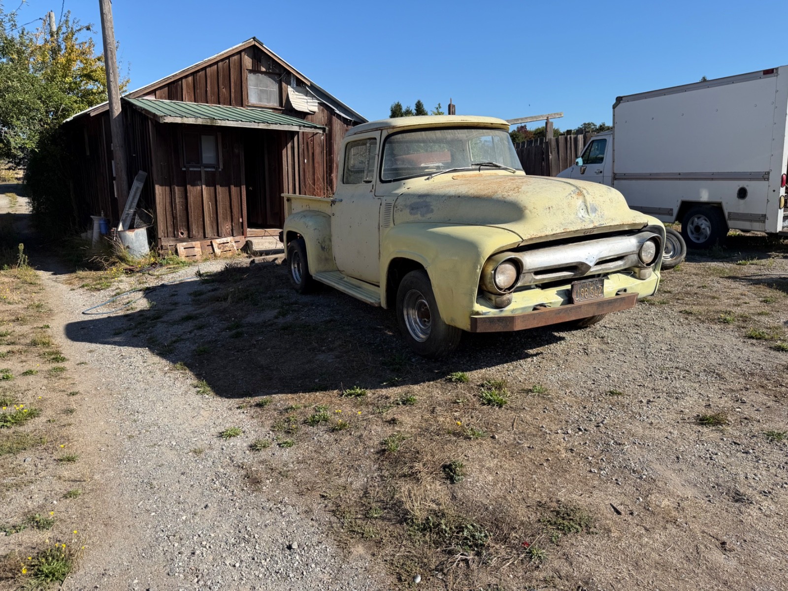 Ford-Other-Pickups-1956-9