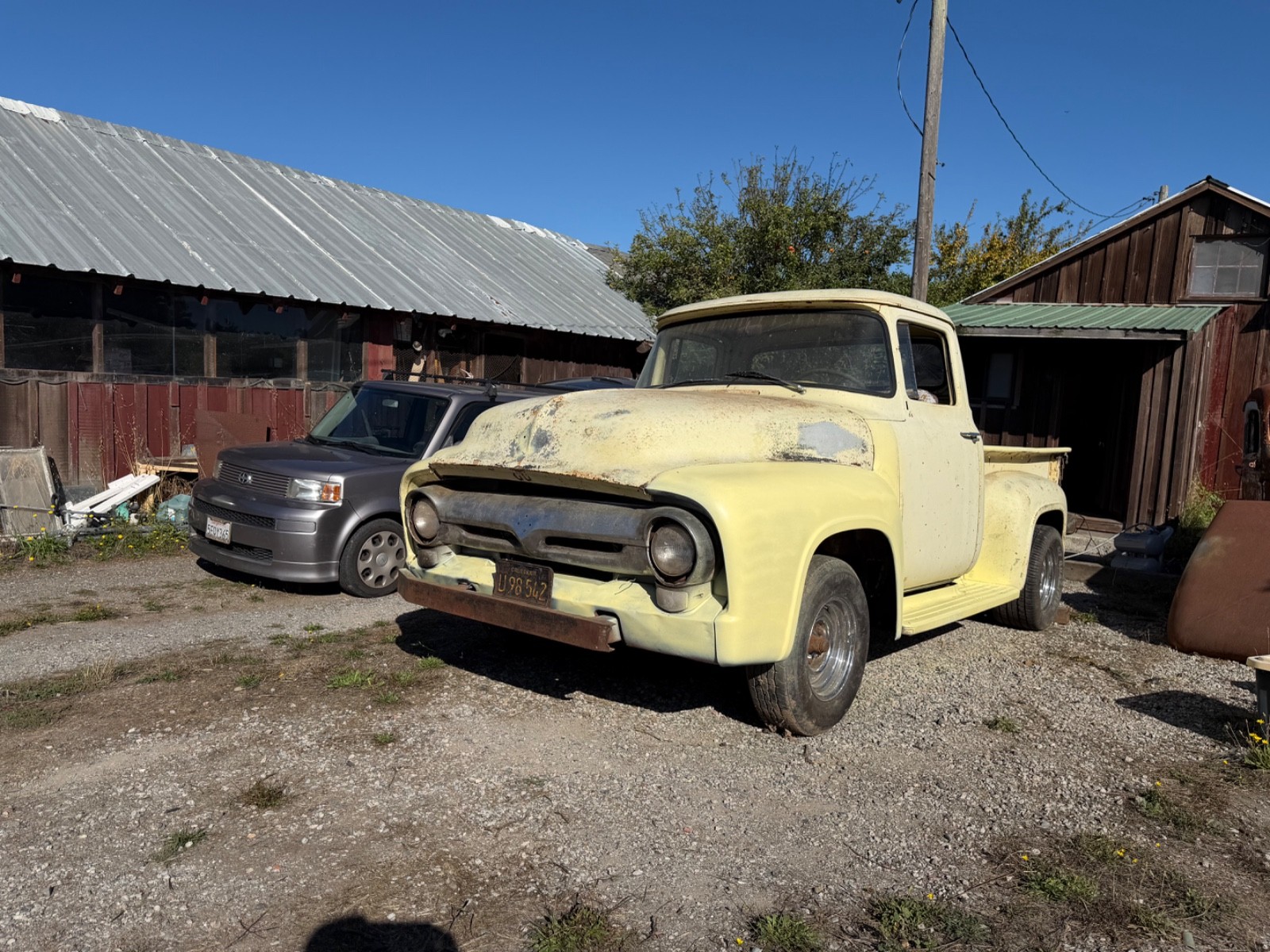 Ford-Other-Pickups-1956