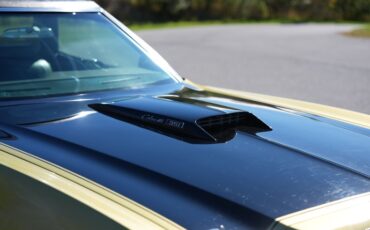 Ford-Ranchero-1973-Bright-Green-Gold-Green-12