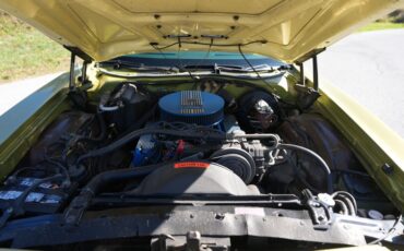 Ford-Ranchero-1973-Bright-Green-Gold-Green-14