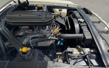 Ford-Shelby-mustang-1968-White-Black-18