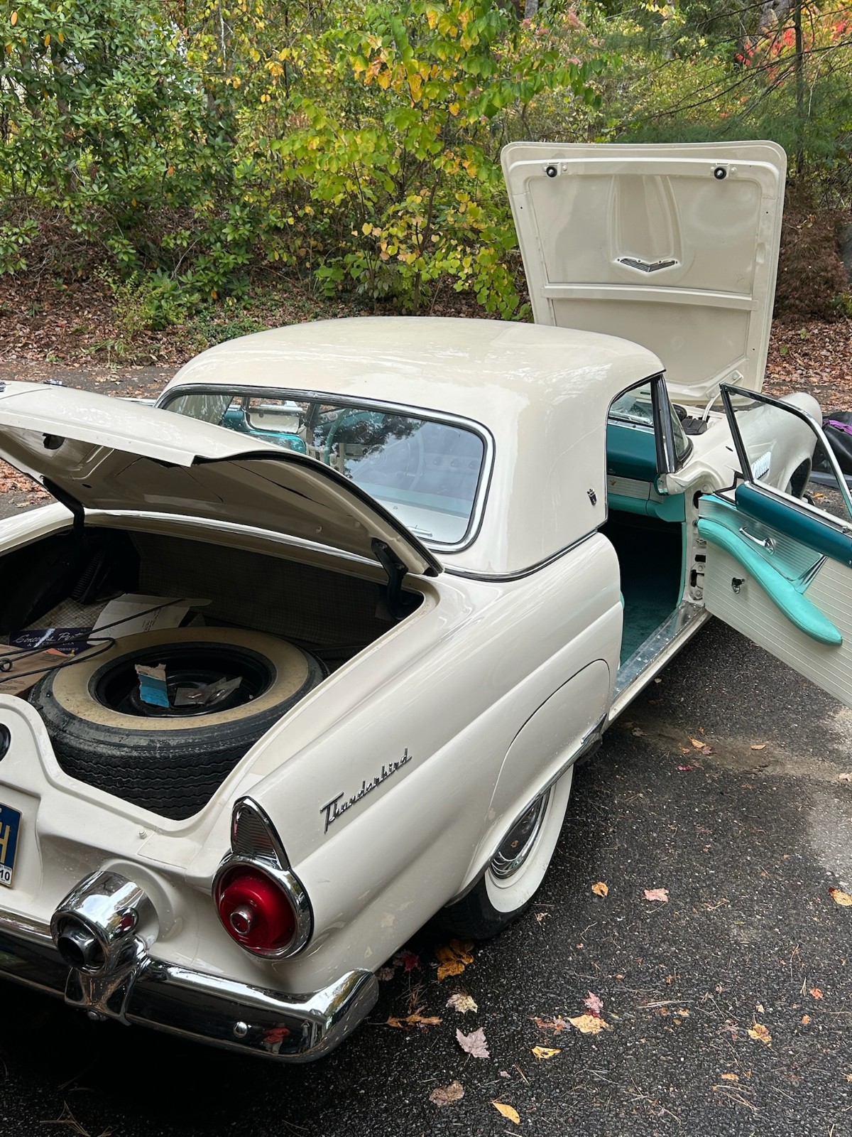 Ford-Thunderbird-1955-Convertible-22