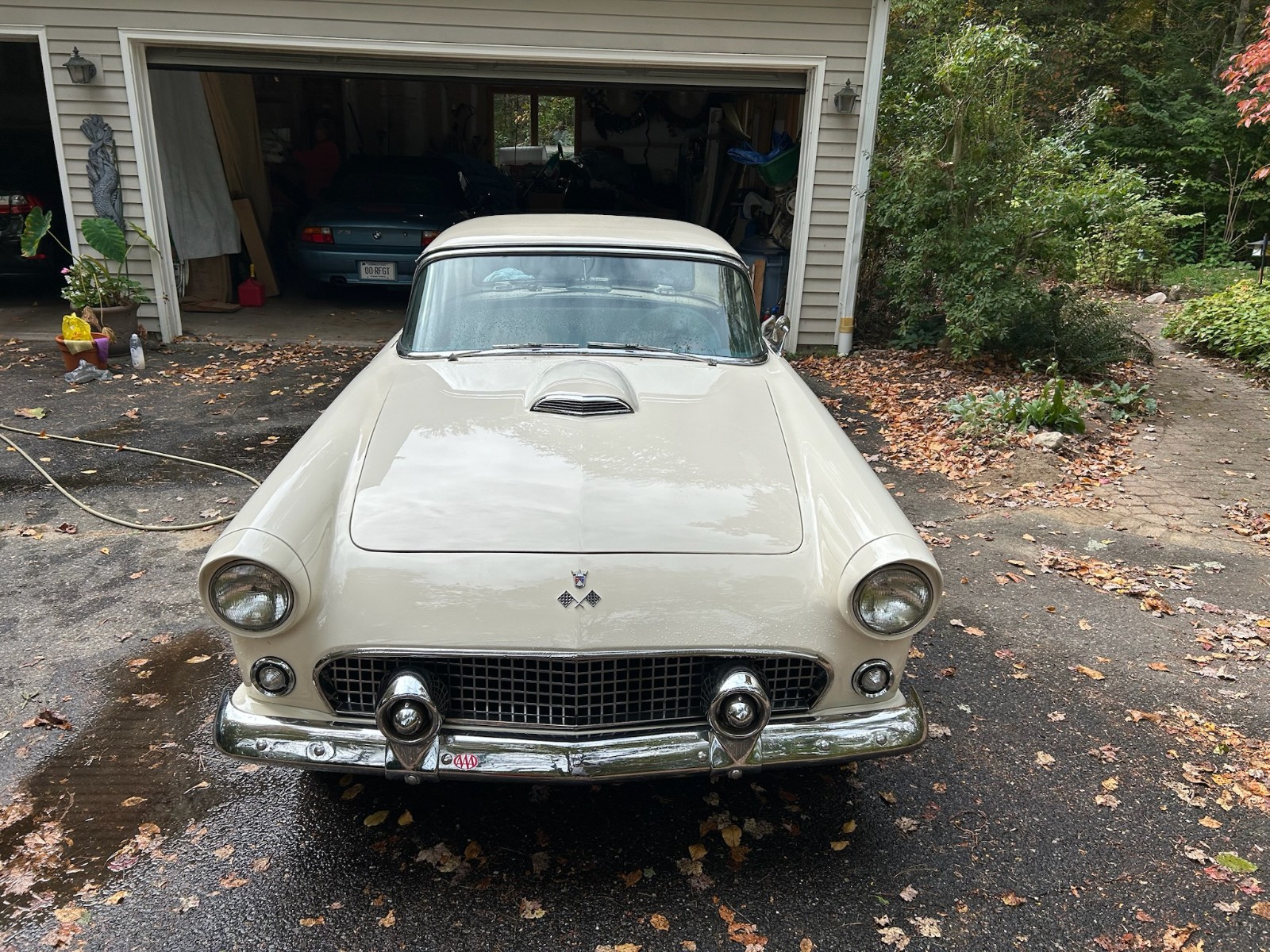 Ford-Thunderbird-1955-Convertible-3