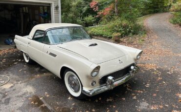 Ford-Thunderbird-1955-Convertible