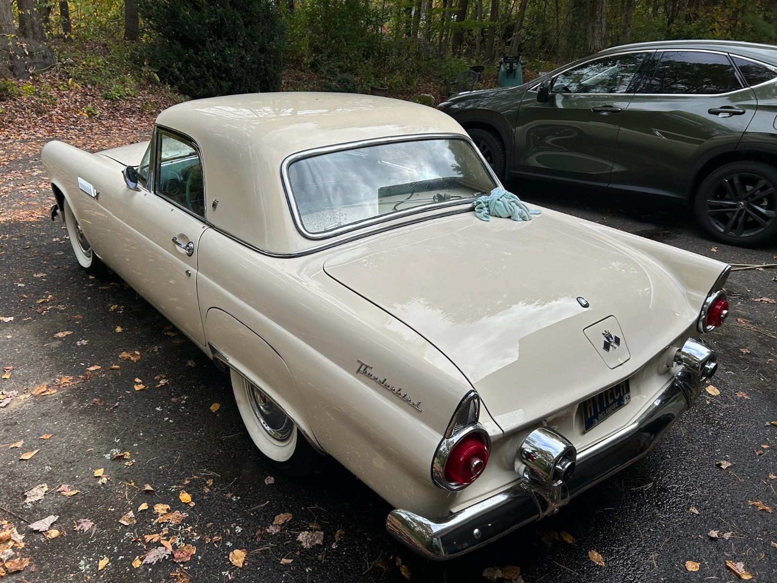 Ford-Thunderbird-1955-Convertible-4