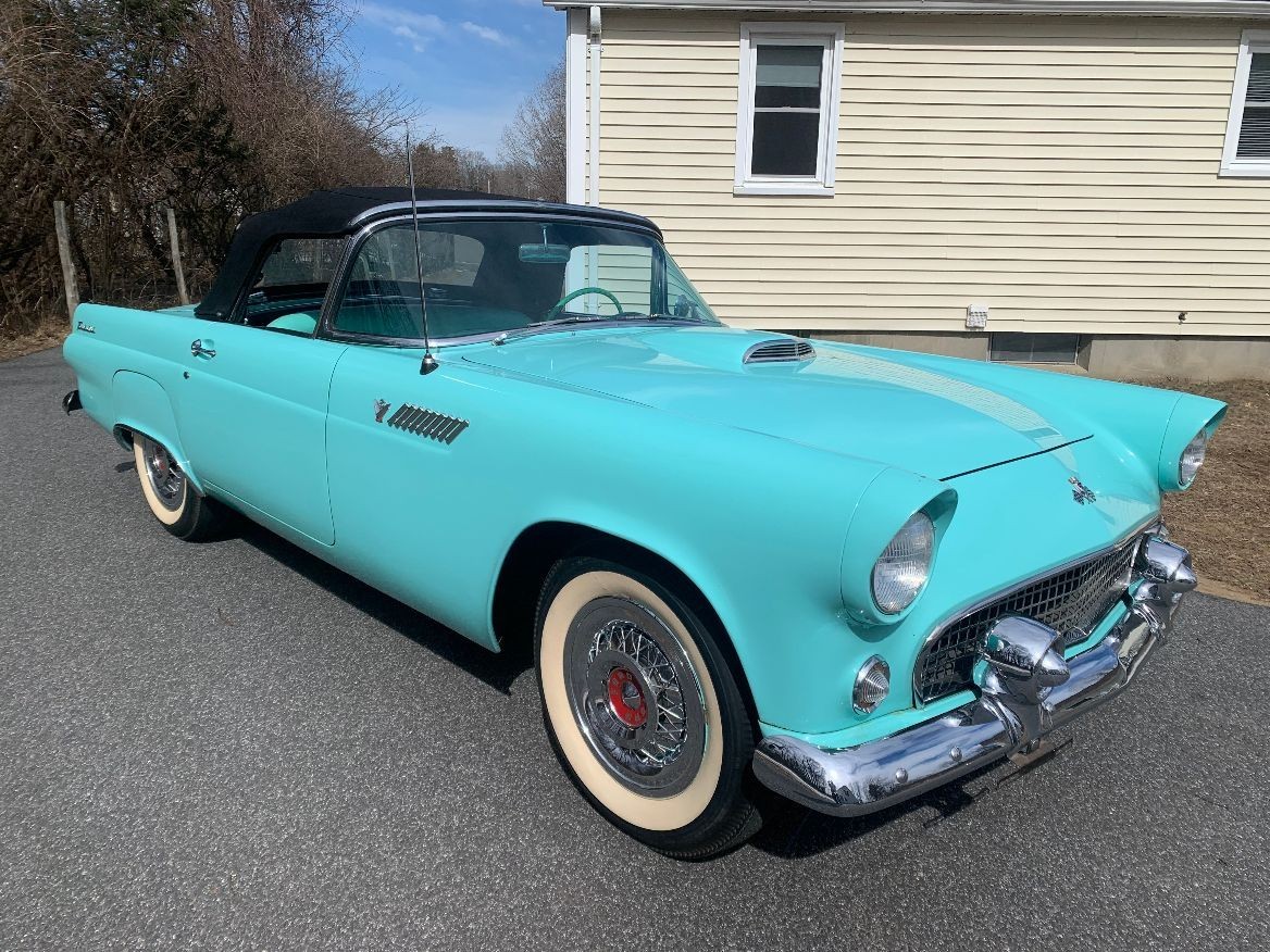Ford Thunderbird 1955 Convertible