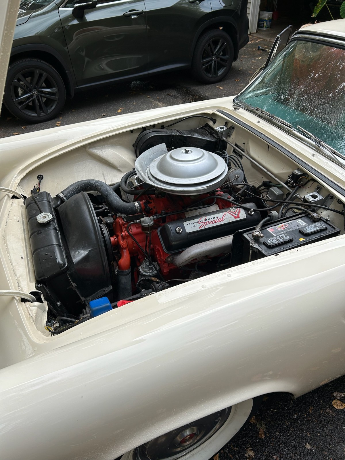 Ford-Thunderbird-1955-Convertible-6