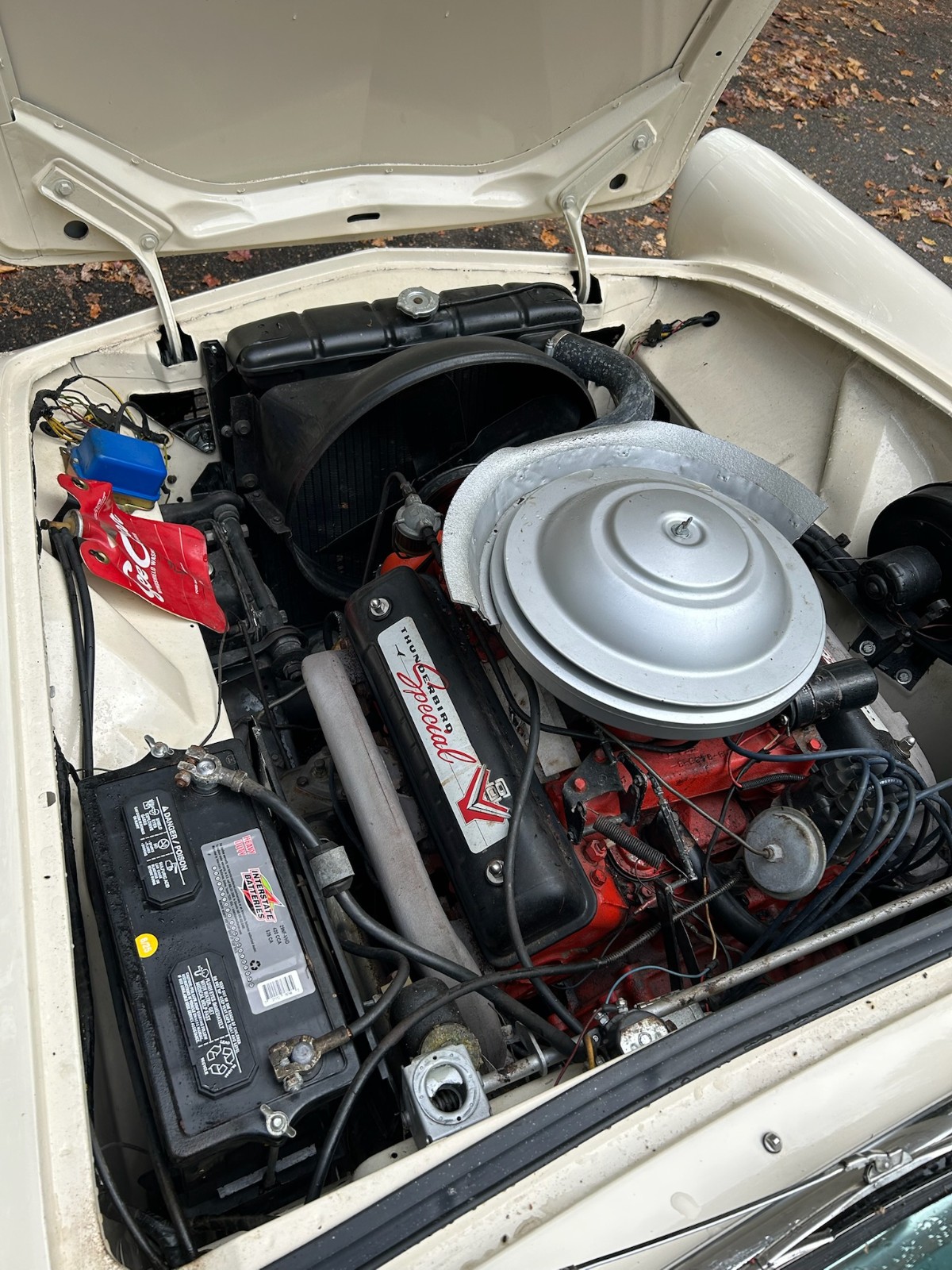 Ford-Thunderbird-1955-Convertible-8