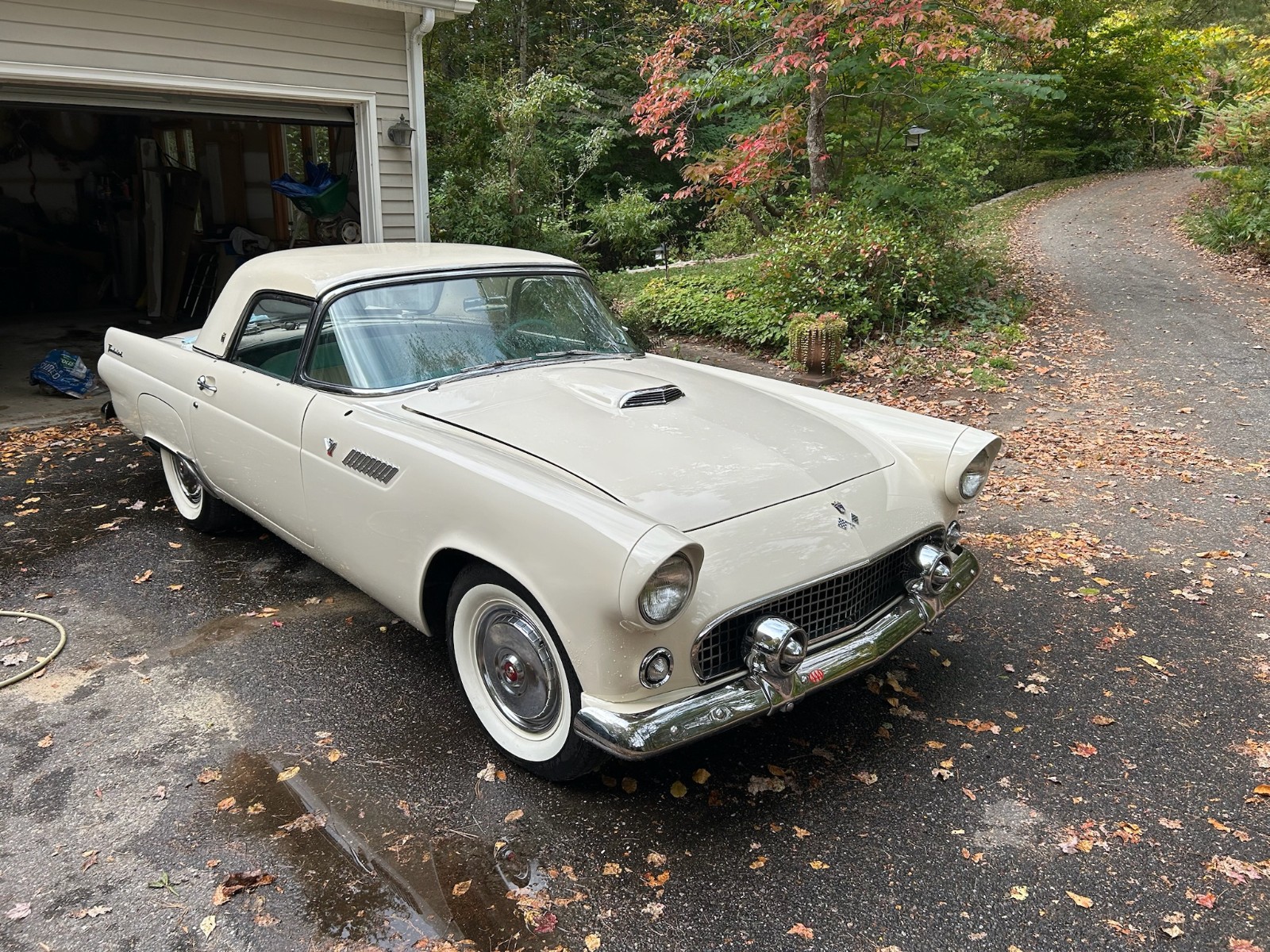 Ford Thunderbird 1955 Convertible