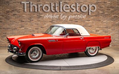Ford Thunderbird 1955 Other
