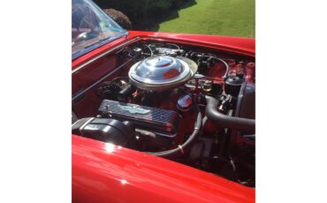 Ford-Thunderbird-1955-Torch-Red-Red-amp-White-11