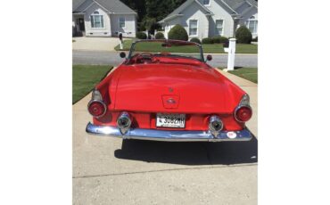 Ford-Thunderbird-1955-Torch-Red-Red-amp-White-4