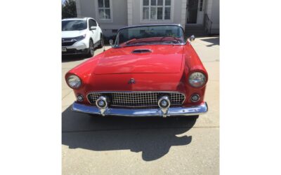 Ford Thunderbird 1955