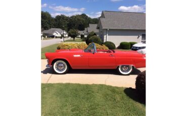 Ford-Thunderbird-1955-Torch-Red-Red-amp-White-7