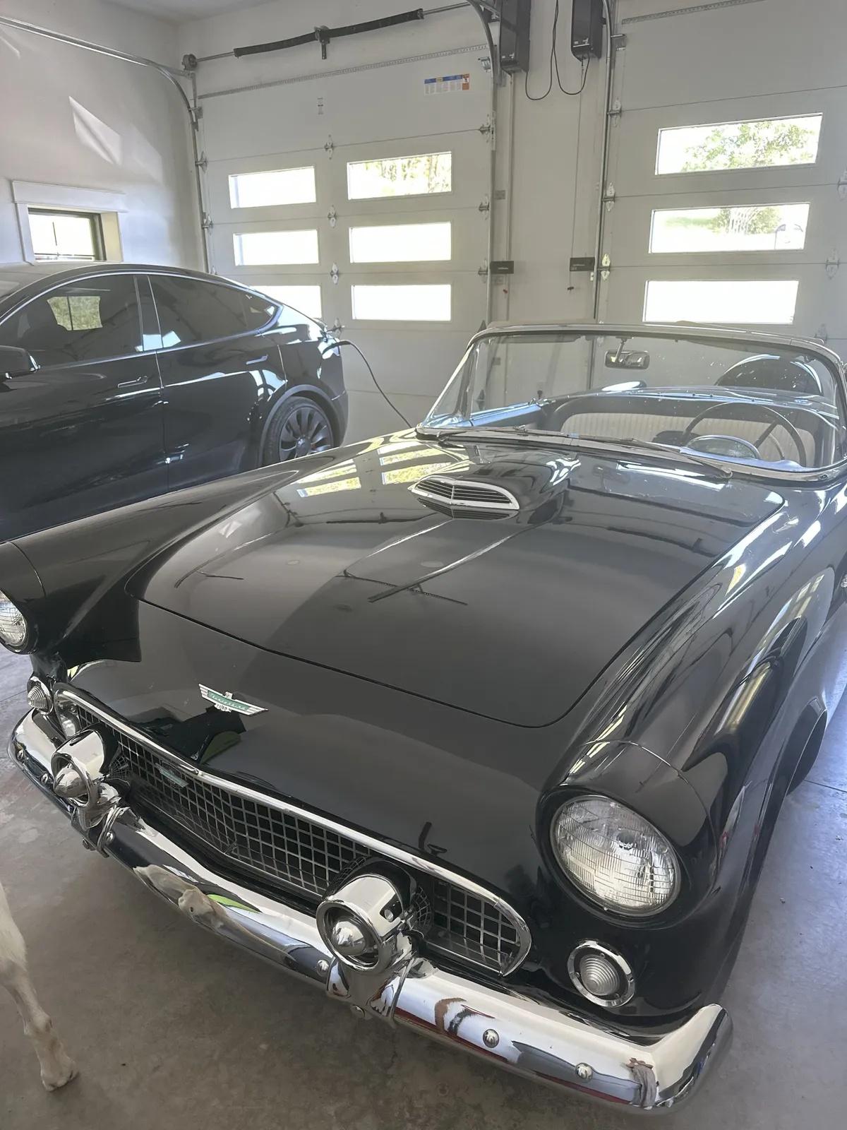 Ford-Thunderbird-1956-Black-Black-And-White-12