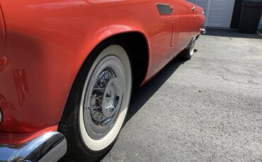 Ford-Thunderbird-1956-Fiesta-Red-Red-And-White-15