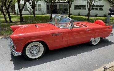 Ford-Thunderbird-1956-Fiesta-Red-Red-And-White-17