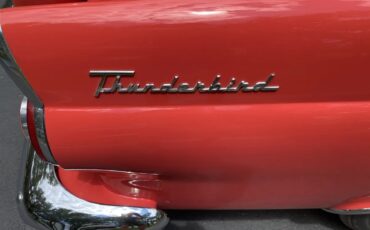 Ford-Thunderbird-1956-Fiesta-Red-Red-And-White-18