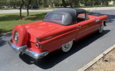 Ford-Thunderbird-1956-Fiesta-Red-Red-And-White-19