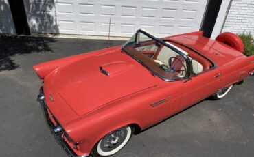 Ford-Thunderbird-1956-Fiesta-Red-Red-And-White