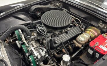 Ford-Thunderbird-1957-Raven-Black-Raven-Black-39