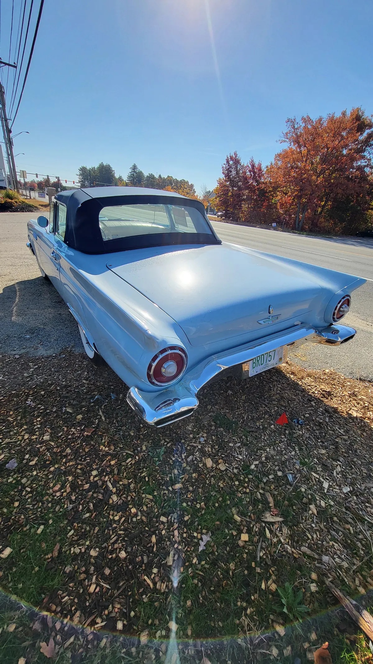 Ford-Thunderbird-1957-Robins-Egg-Blue-Body-White-8
