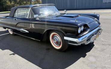 Ford-Thunderbird-1959-Black-Black-amp-White-1