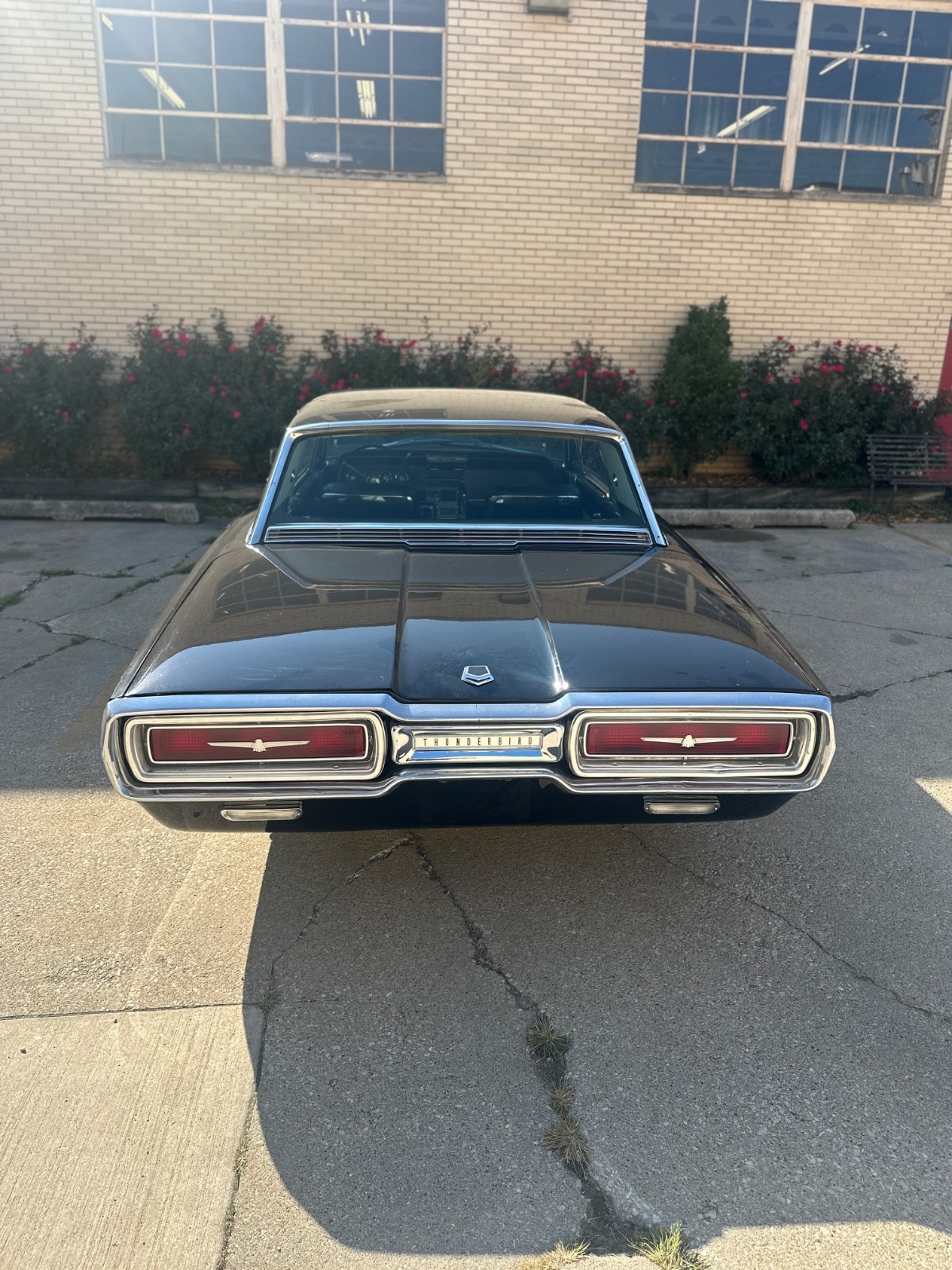 Ford-Thunderbird-1964-Hardtop-20