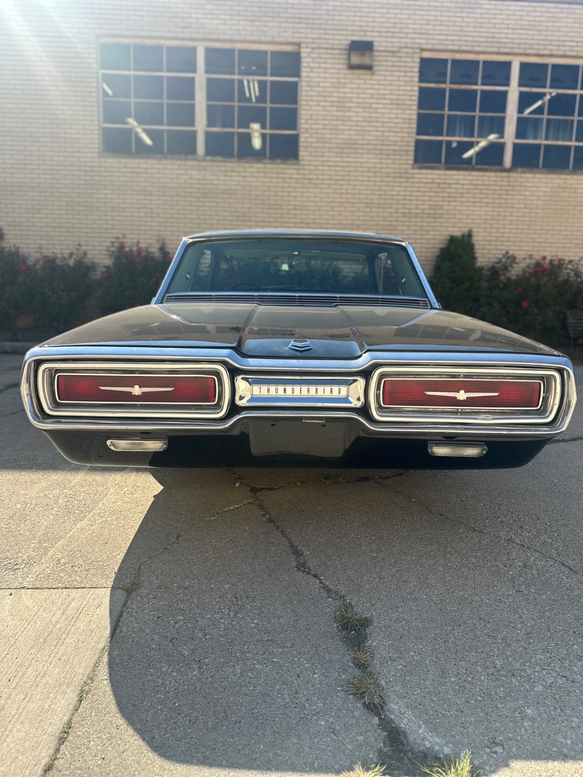 Ford-Thunderbird-1964-Hardtop-21